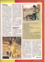 revista2